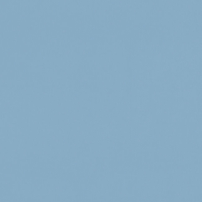 CLARKE & CLARKE STUDIO G FOR C&C RENZO RENZO - CHAMBRAY F1231/02.CAC.0