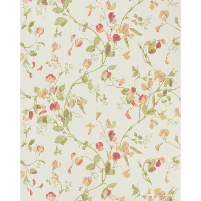 COLE & SON ANTHOLOGY SWEET PEA - PINK 100/6028.CS.0