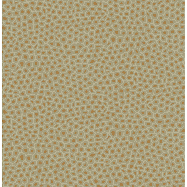 COLE & SON ARDMORE SENZO SPOT - OLIVE 109/6029.CS.0