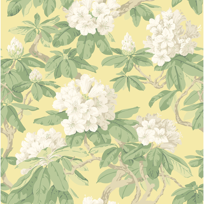 COLE & SON BOURLIE - PALE LEMON 99/4021.CS.0