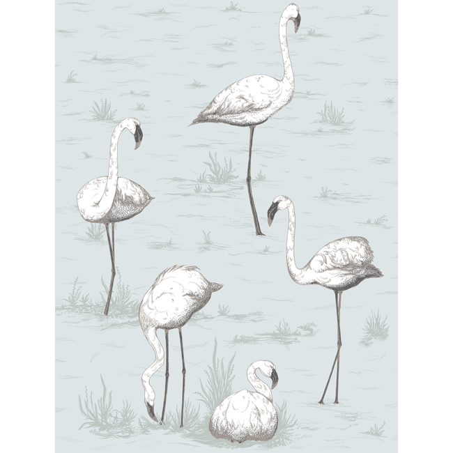 COLE & SON CONTEMPORARY RESTYLED FLAMINGOS - CHARCOAL/AQUA 95/8047.CS.0
