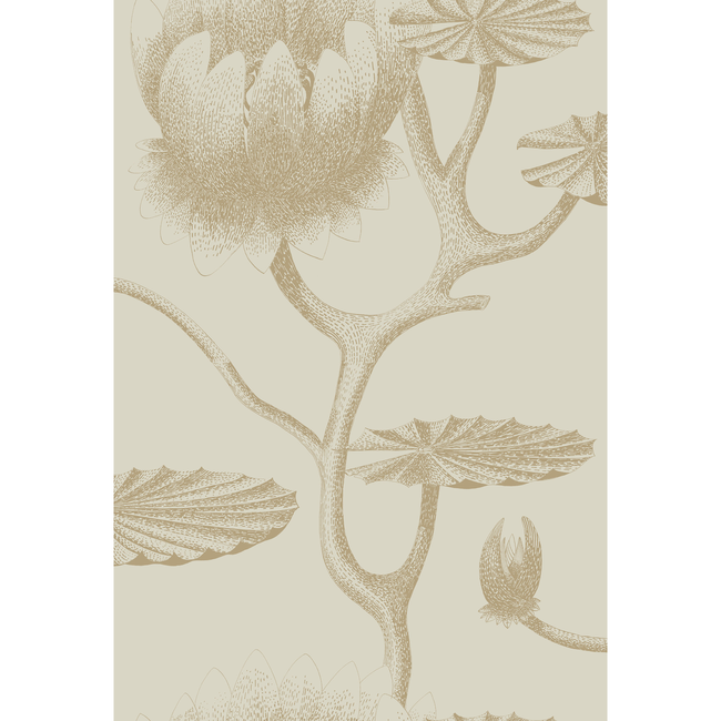 COLE & SON CONTEMPORARY RESTYLED LILY - LINEN/GOLD 95/4019.CS.0