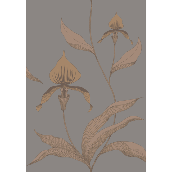 COLE & SON CONTEMPORARY RESTYLED ORCHID - BRONZE/SLATE 95/10056.CS.0