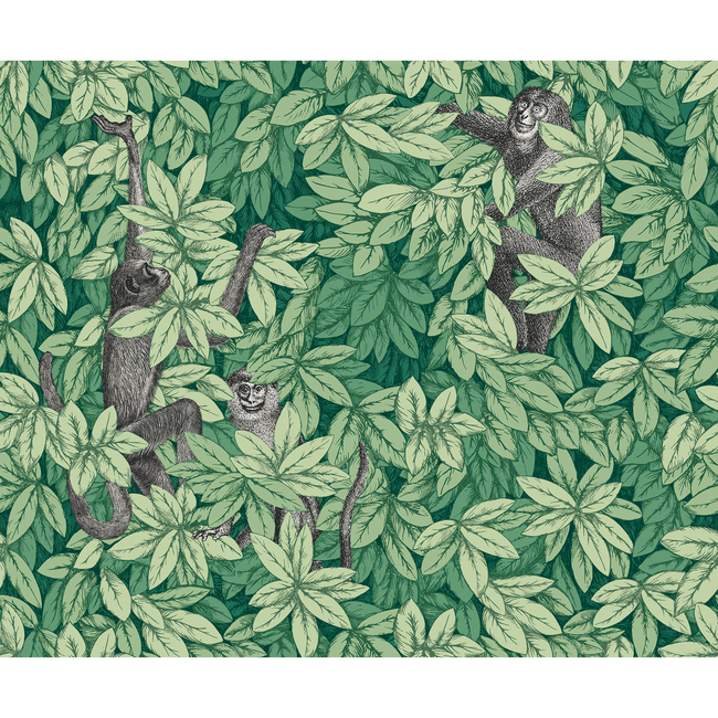 COLE & SON FORNASETTI SENZA TEMPO II FOGLIE E SCIMMIE - GREEN 123/10049.CS.0