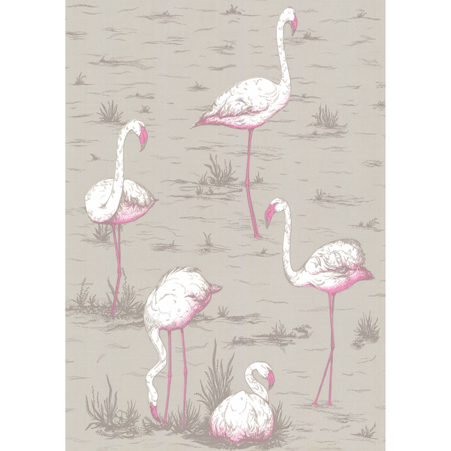 COLE & SON NEW CONTEMPORARY FLAMINGOS - GREY 66/6042.CS.0