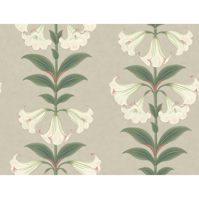 COLE & SON SEVILLE ANGELS TRUMPET - CHALK & SAGE ON STONE 117/3007.CS.0