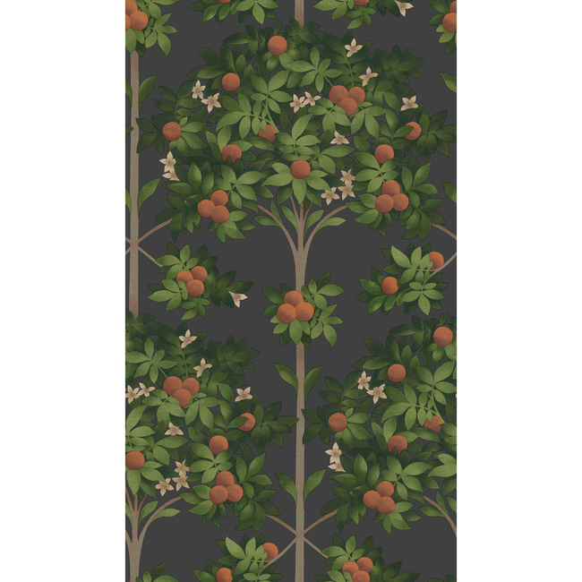 COLE & SON SEVILLE ORANGE BLOSSOM - ORANGE & SPRING GREEN/BLACK 117/1003.CS.0