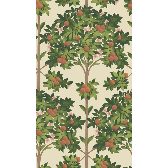 COLE & SON SEVILLE ORANGE BLOSSOM - ORANGE & SPRING GREEN/PARCH 117/1001.CS.0