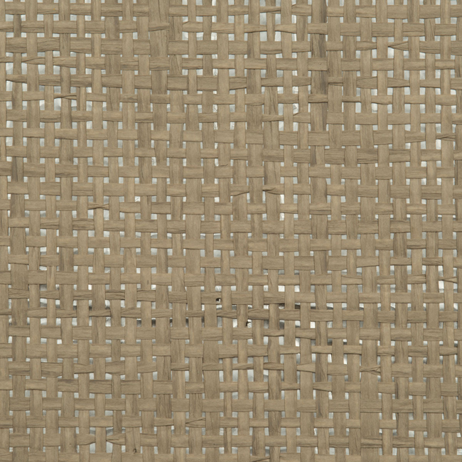 DONGHIA DESERT BLOOM DESERT GRASS - NATURAL SILVER DG-20056.020.0 - Discontinued