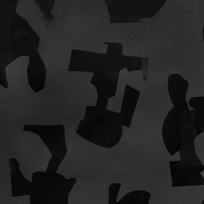 DONGHIA FORMS VINYL - BLACK P6021126.8.0