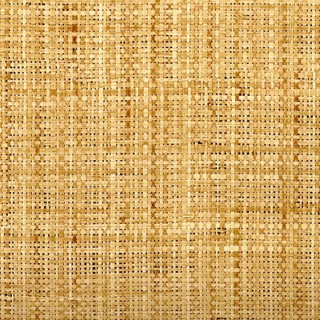 DONGHIA LOOKS LIKE RAFFIA - WICKER BROWN DG-0W425.018.0 - Discontinued