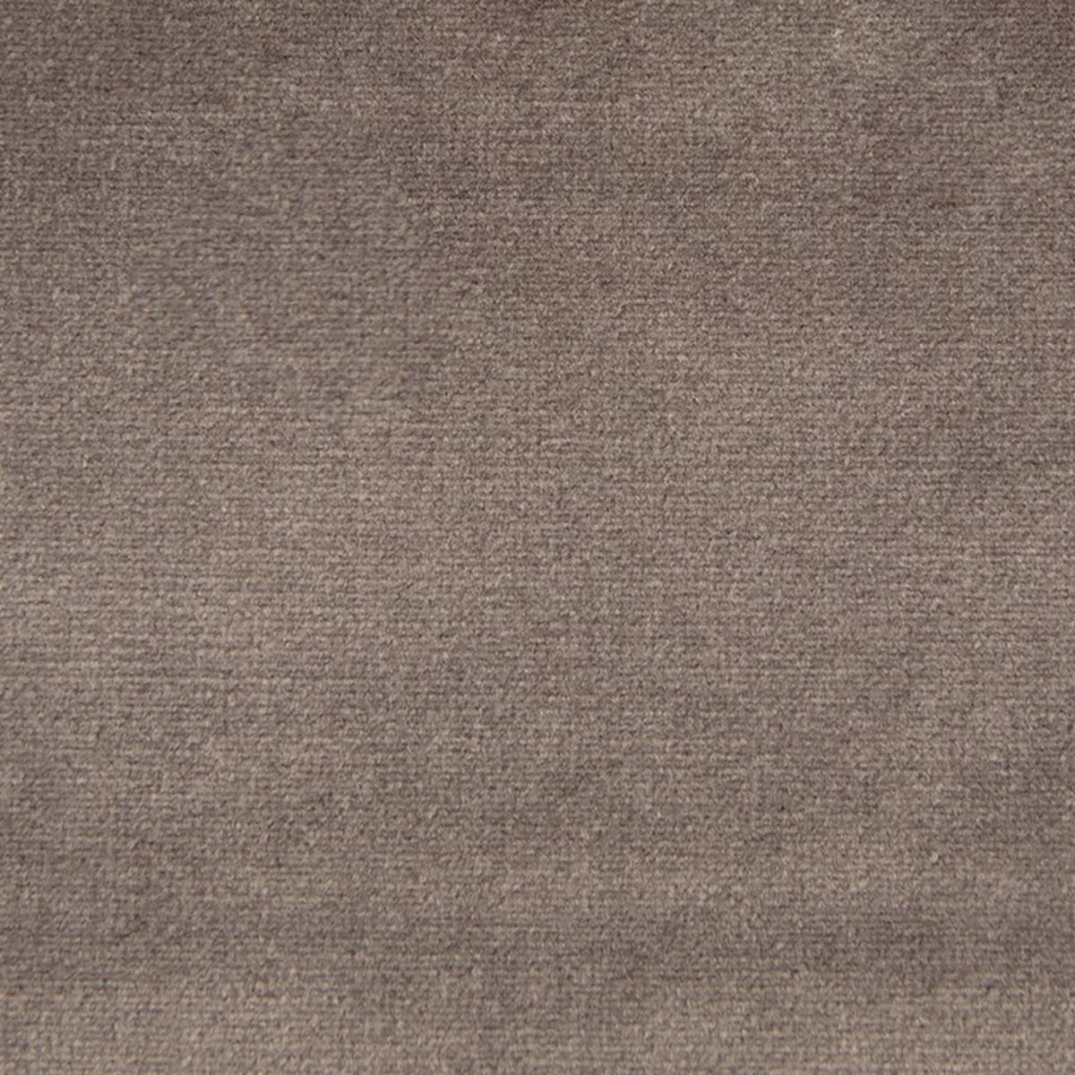 High-quality Greenhouse Fabrics fabric, perfect for custom upholstery and design.