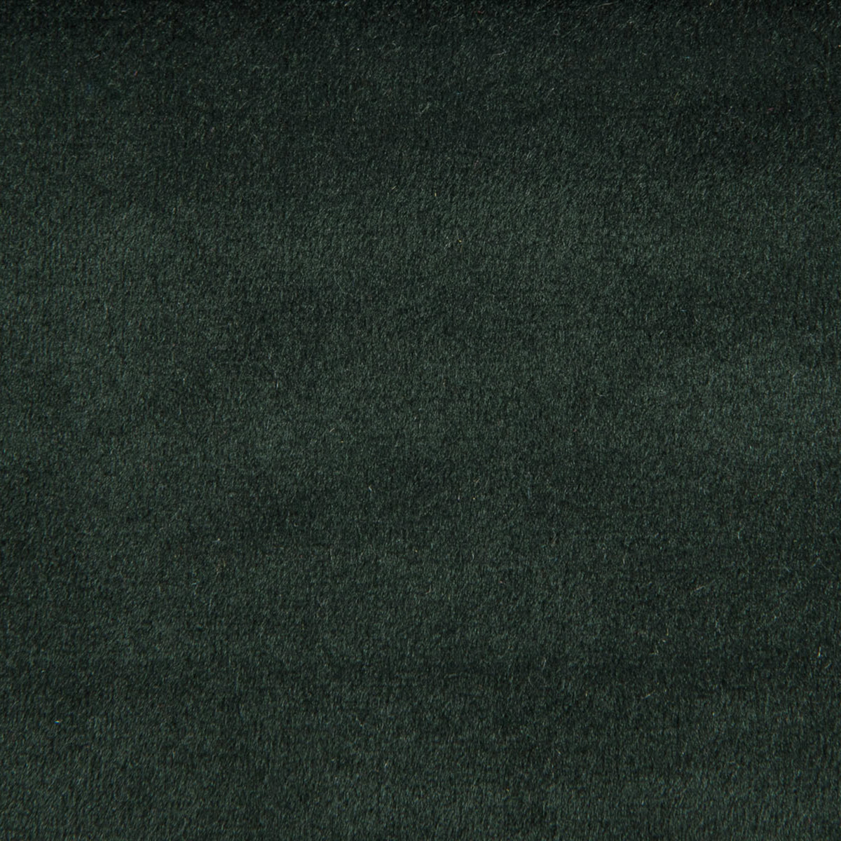 Detailed texture of Greenhouse Fabrics fabric for premium interior decor.