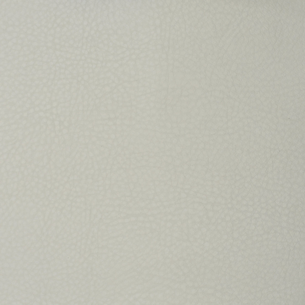 Versatile F1853 Cloud fabric designed for elegant and durable decor.