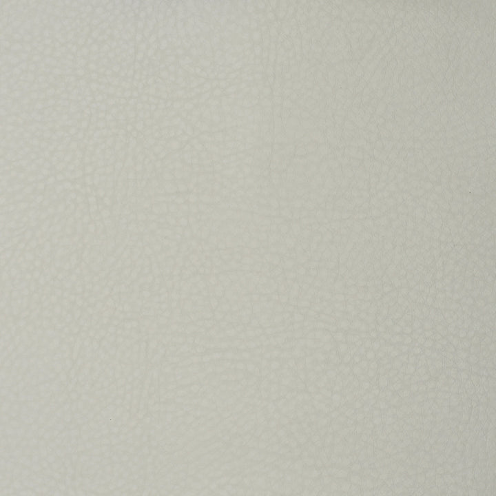 Versatile F1853 Cloud fabric designed for elegant and durable decor.