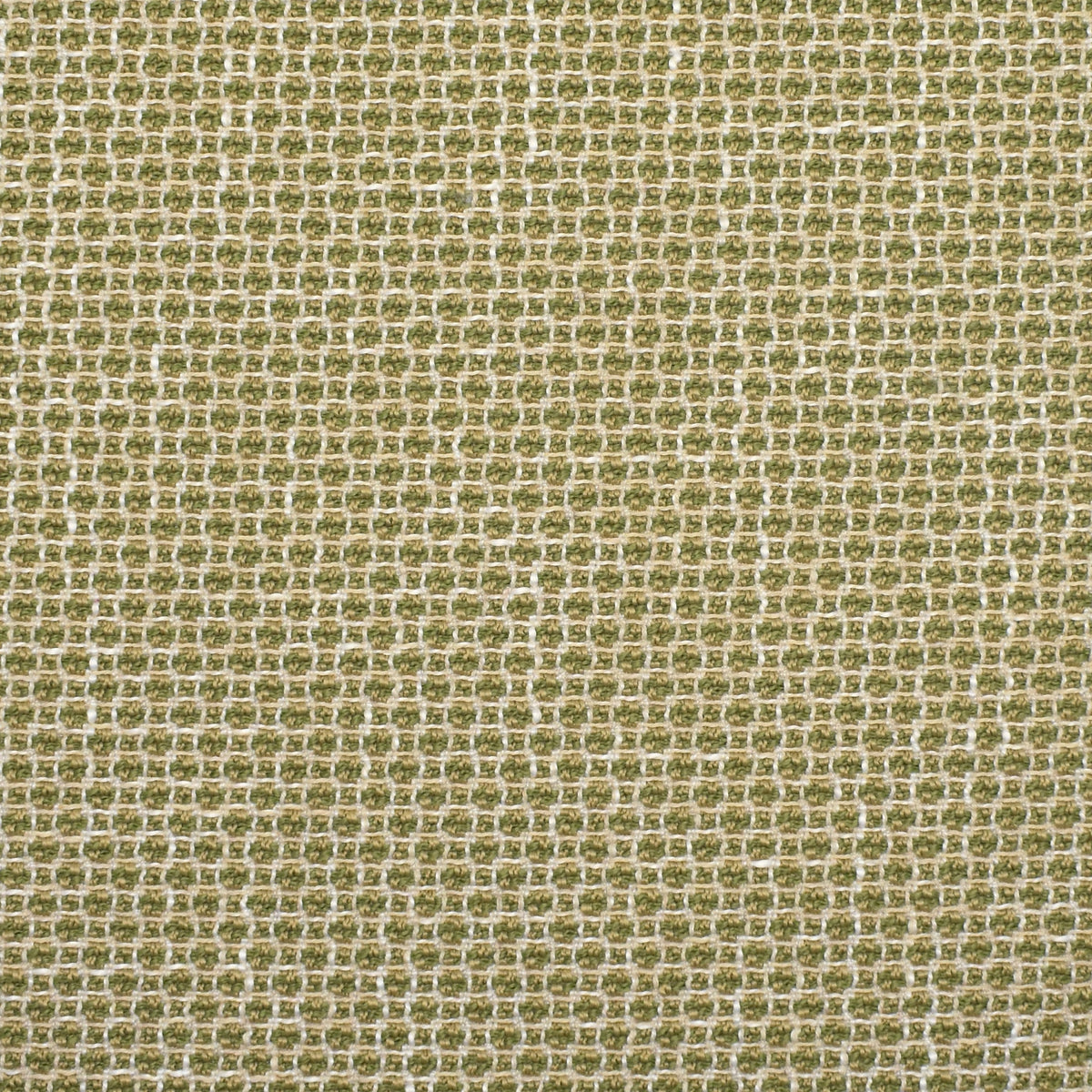 Greenhouse Fabrics fabric displayed for sophisticated decor ideas.