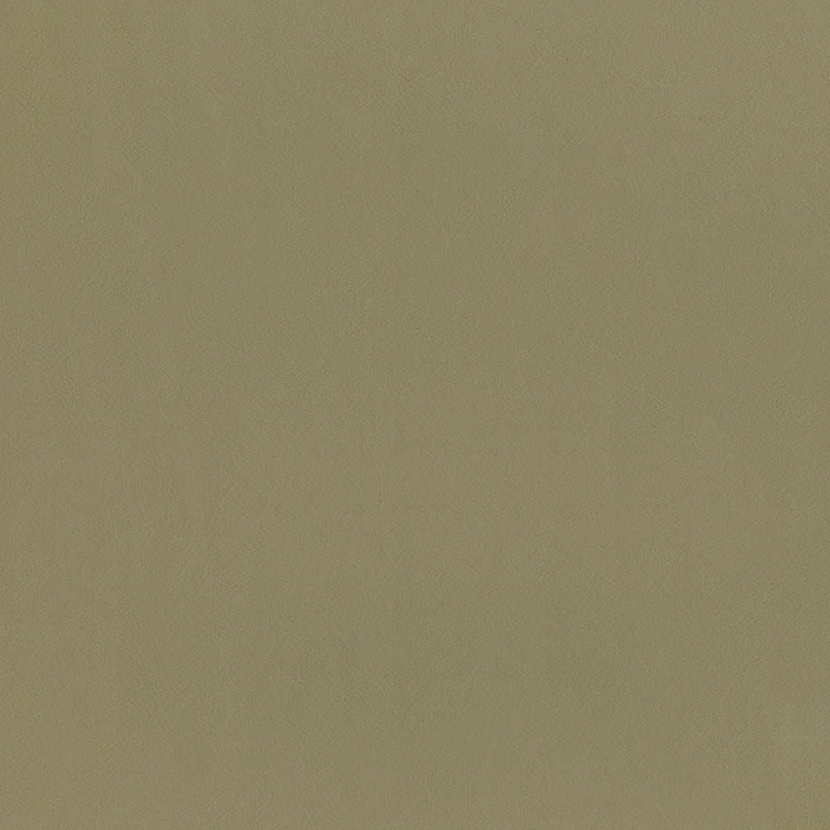 Greenhouse Fabrics F2868 Taupe upholstery fabric in Taupe color, ideal for interior decor and furniture upholstery projects.