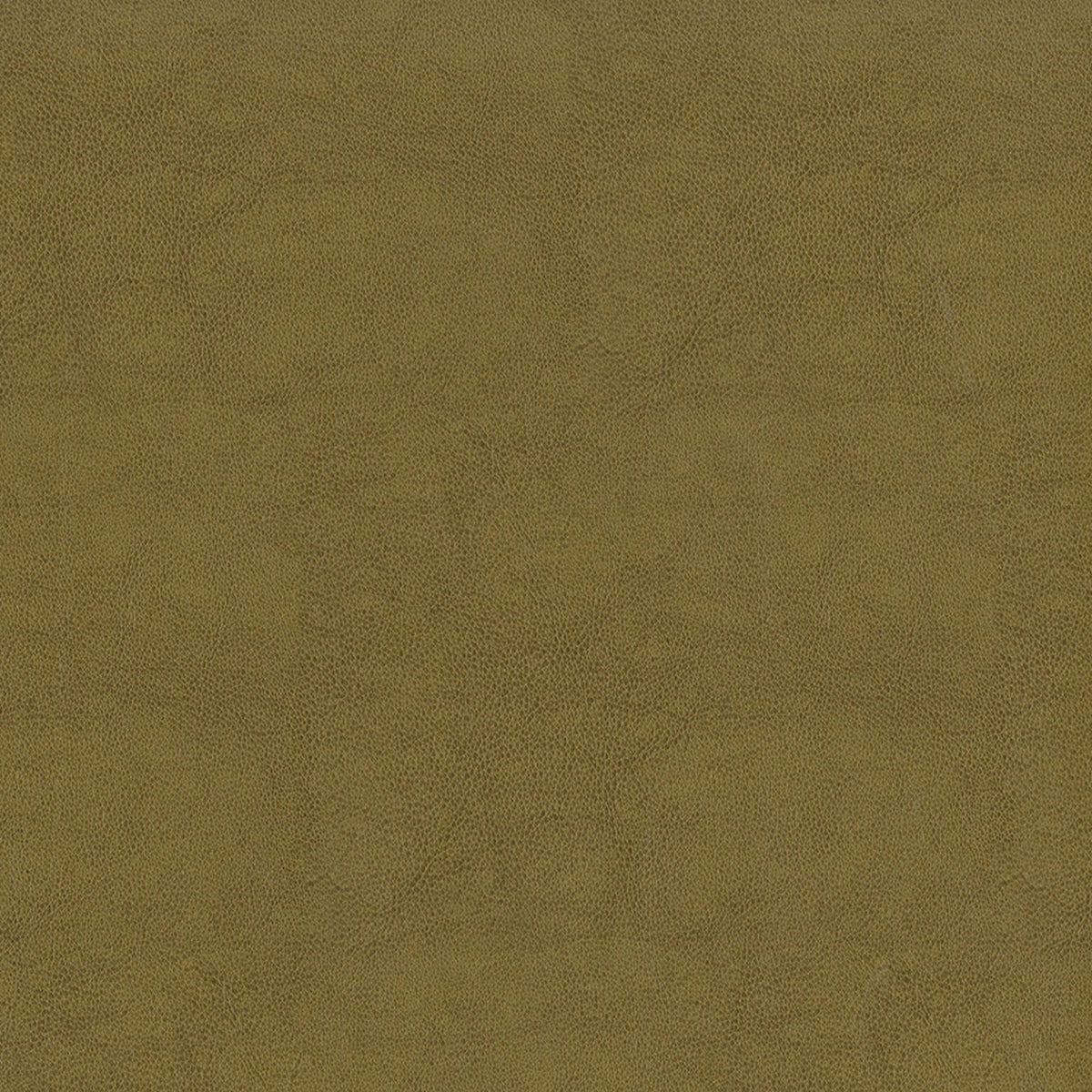 Greenhouse Fabrics F2872 Tan upholstery fabric in Tan color, ideal for interior decor and furniture upholstery projects.