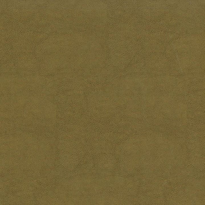 Greenhouse Fabrics F2872 Tan upholstery fabric in Tan color, ideal for interior decor and furniture upholstery projects.