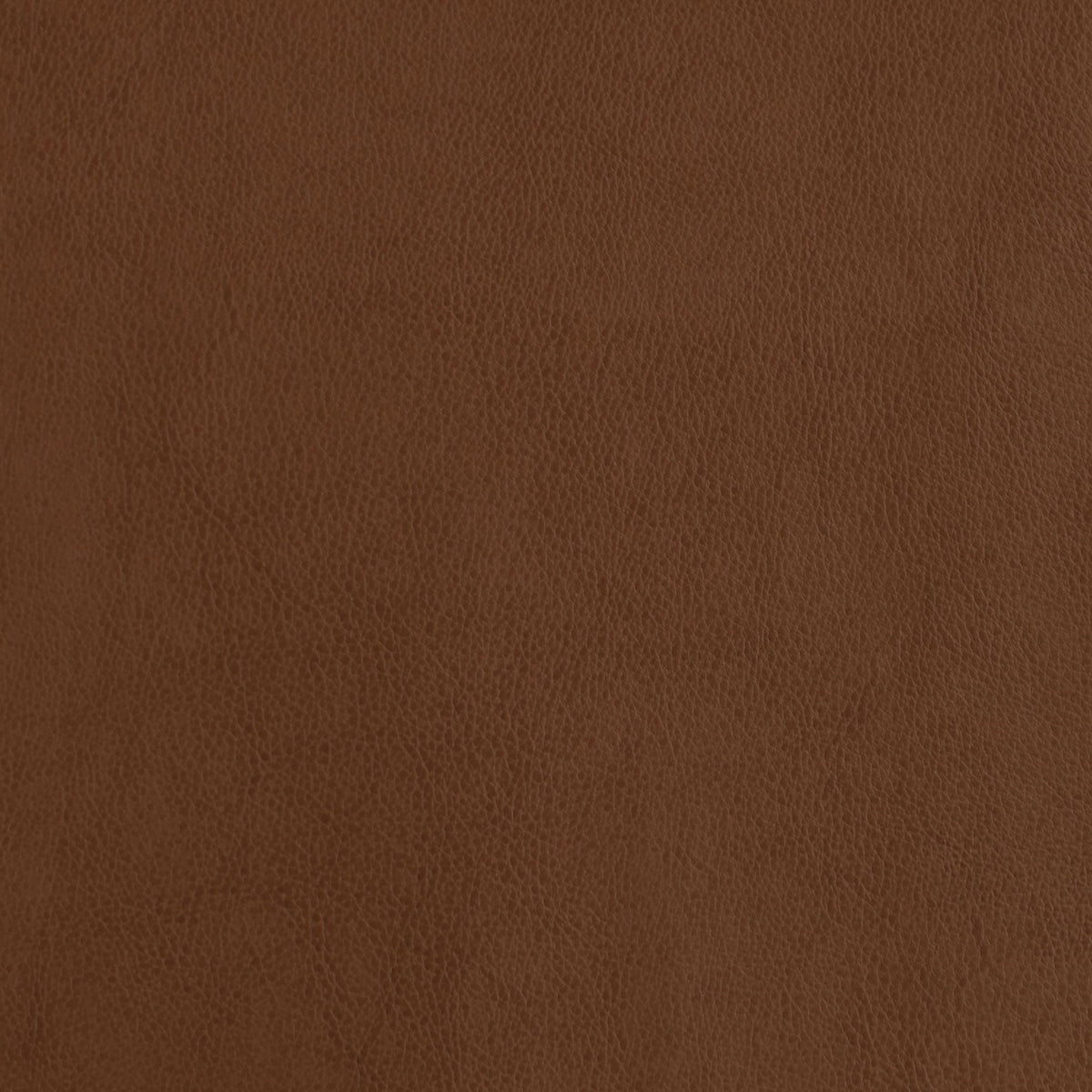 Greenhouse Fabrics F2873 Amber upholstery fabric in Amber color, ideal for interior decor and furniture upholstery projects.