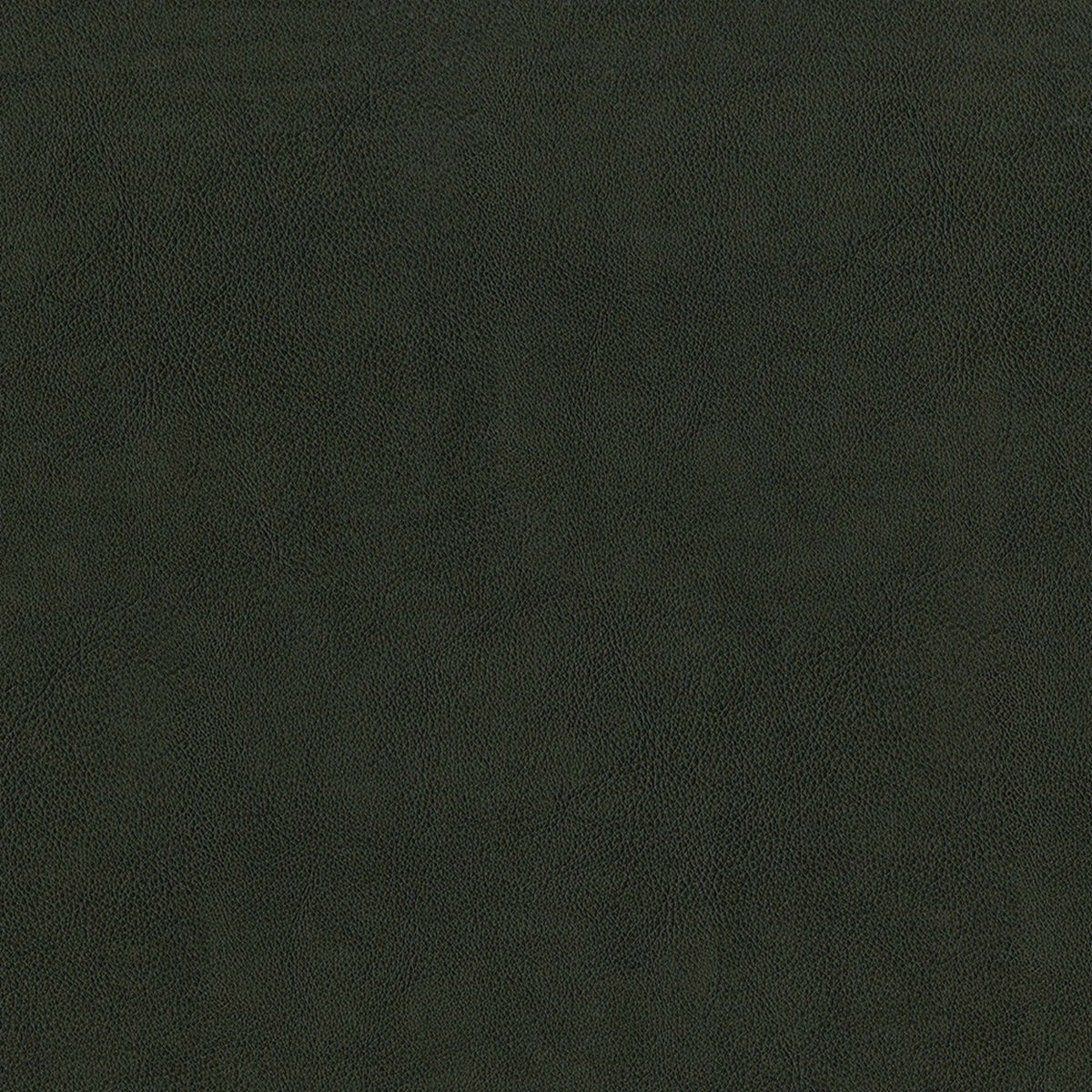 Versatile F2880 Charcoal fabric designed for elegant and durable decor.