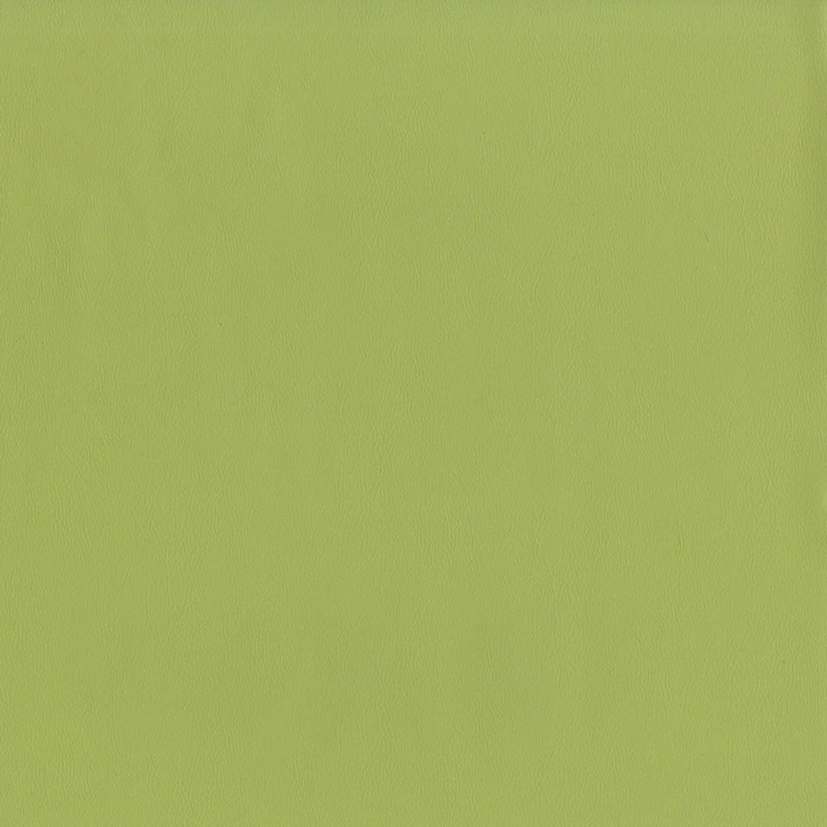Close-up of Greenhouse Fabrics fabric, perfect for upholstery and home projects.