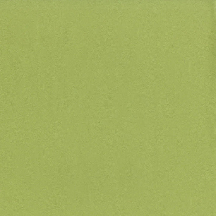Close-up of Greenhouse Fabrics fabric, perfect for upholstery and home projects.