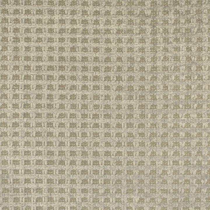 F3041 Silver upholstery fabric crafted for luxurious home decor.
