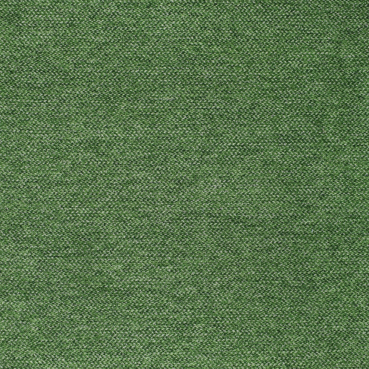 Greenhouse Fabrics fabric displayed for sophisticated decor ideas.