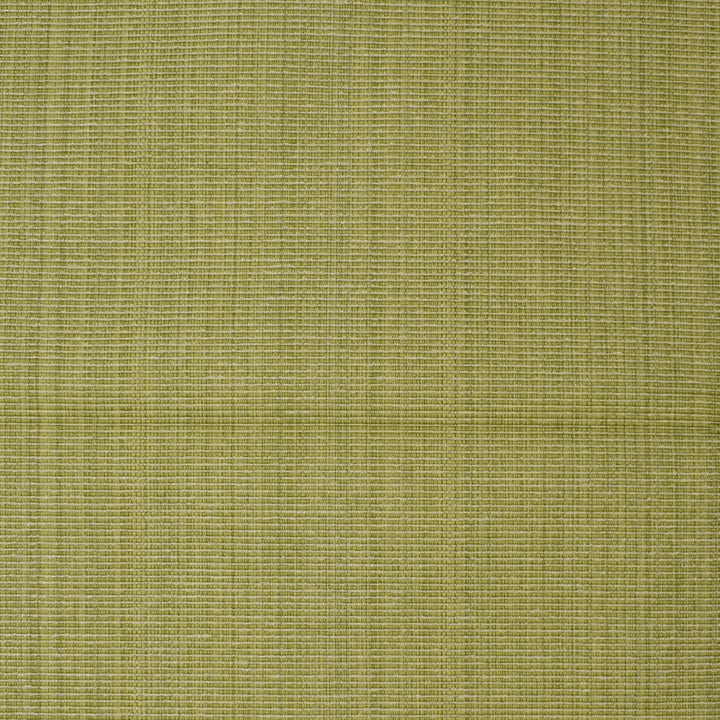 Detailed texture of Greenhouse Fabrics fabric for premium interior decor.