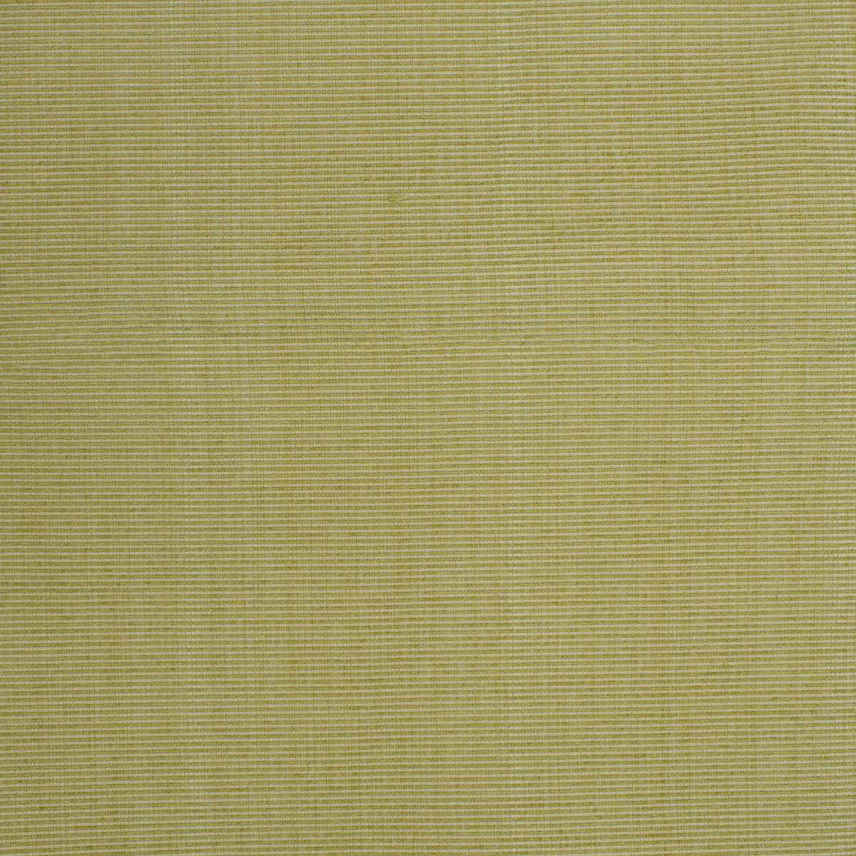 Luxurious Greenhouse Fabrics fabric close-up for enhanced home aesthetics.
