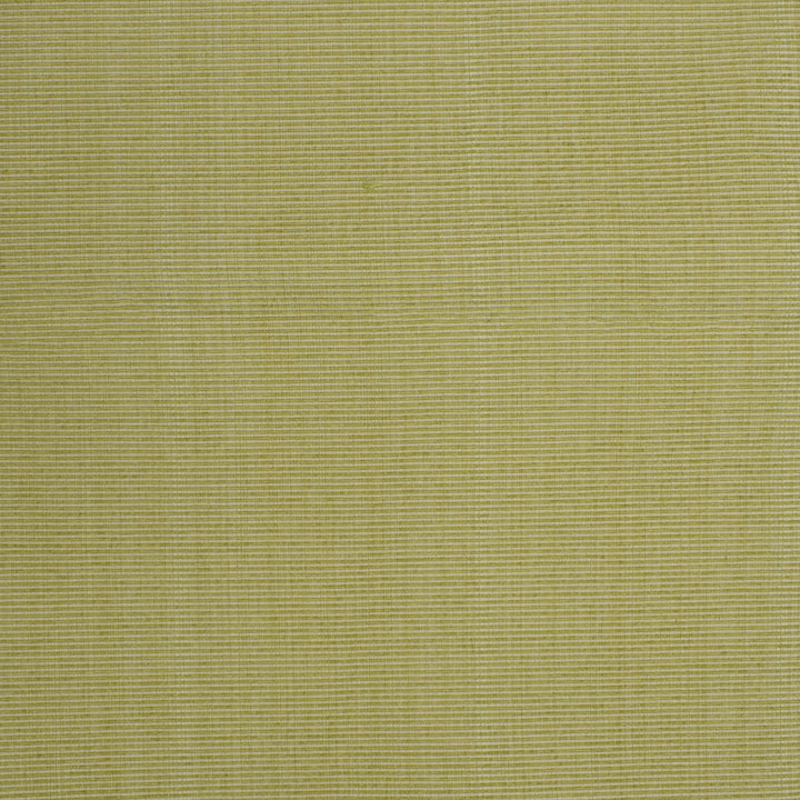 Luxurious Greenhouse Fabrics fabric close-up for enhanced home aesthetics.