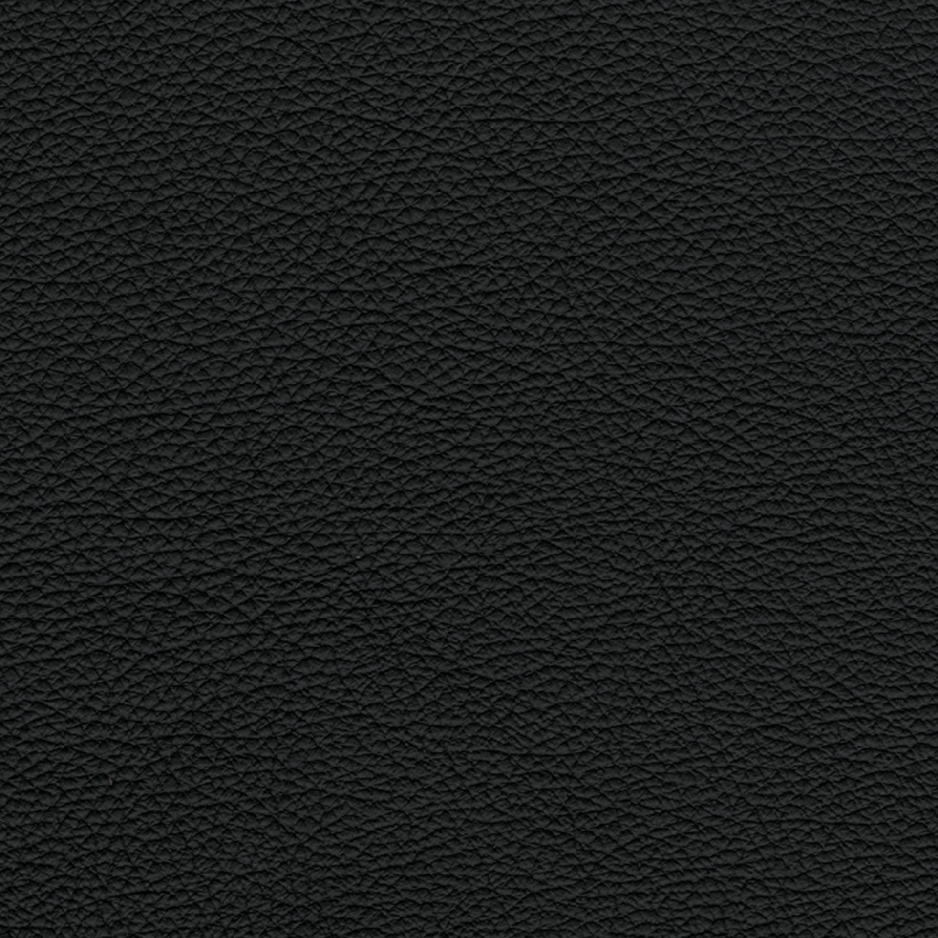 F3838 Black in Greenhouse Fabrics F3838 Black by Greenhouse Fabrics – high-quality, durable upholstery fabric ideal for sofas, chairs, and home decor projects. Adds style and resilience to any interior setting.