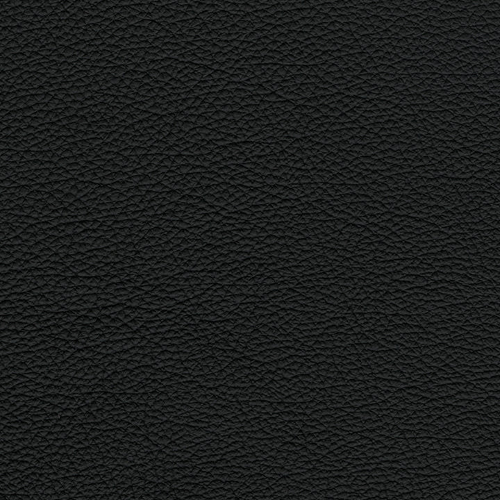 F3838 Black in Greenhouse Fabrics F3838 Black by Greenhouse Fabrics – high-quality, durable upholstery fabric ideal for sofas, chairs, and home decor projects. Adds style and resilience to any interior setting.