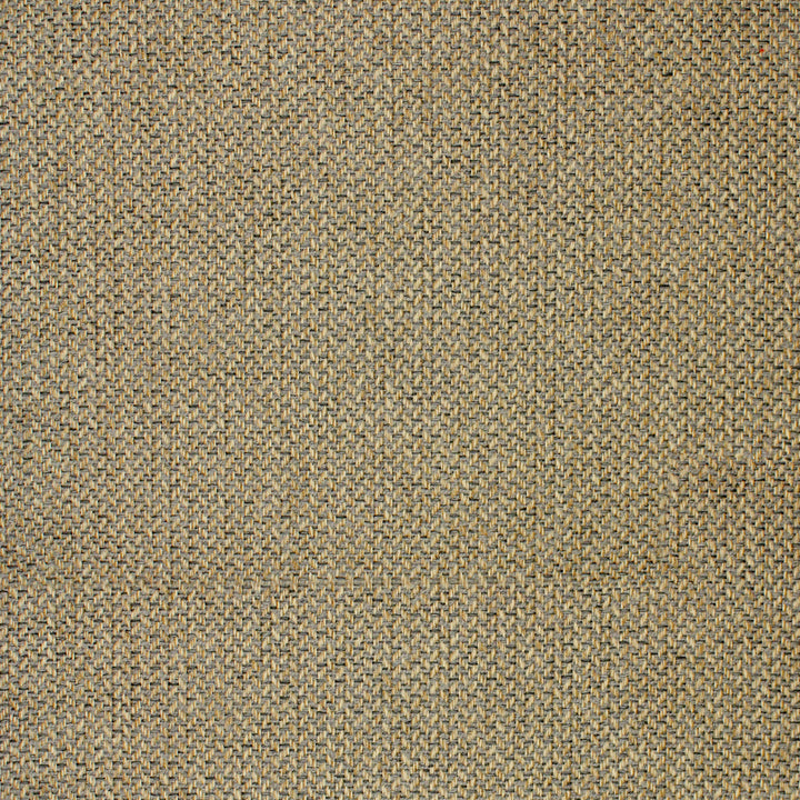 High-quality Greenhouse Fabrics fabric, perfect for custom upholstery and design.