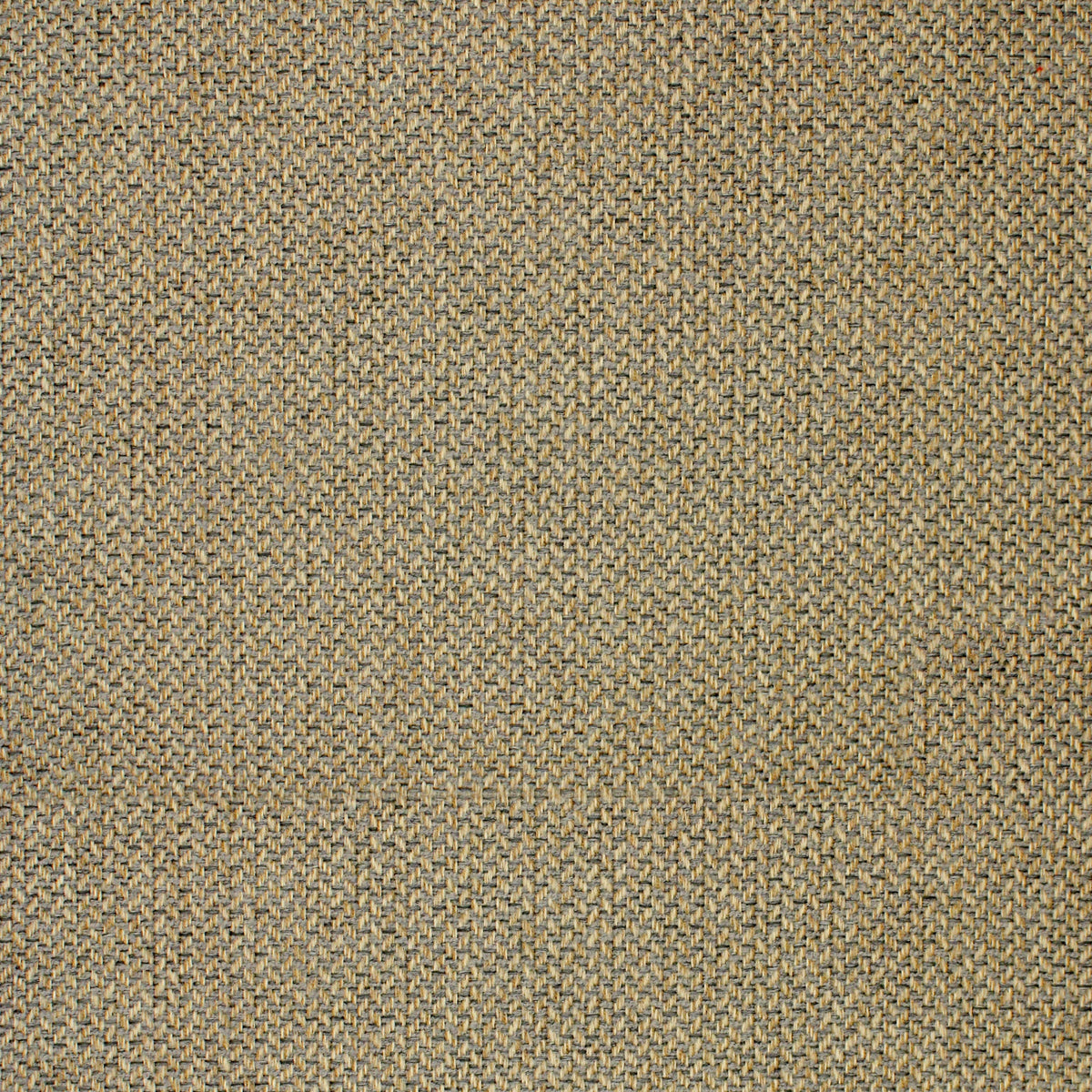 High-quality Greenhouse Fabrics fabric, perfect for custom upholstery and design.