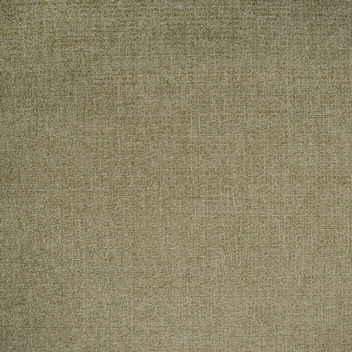 Greenhouse Fabrics fabric displayed for sophisticated decor ideas.