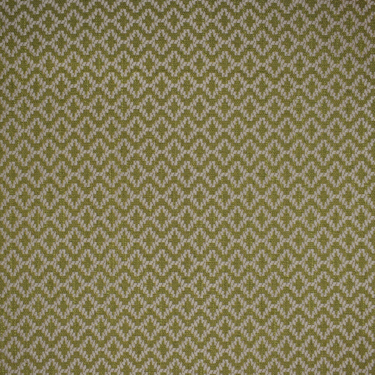 Greenhouse Fabrics fabric displayed for sophisticated decor ideas.