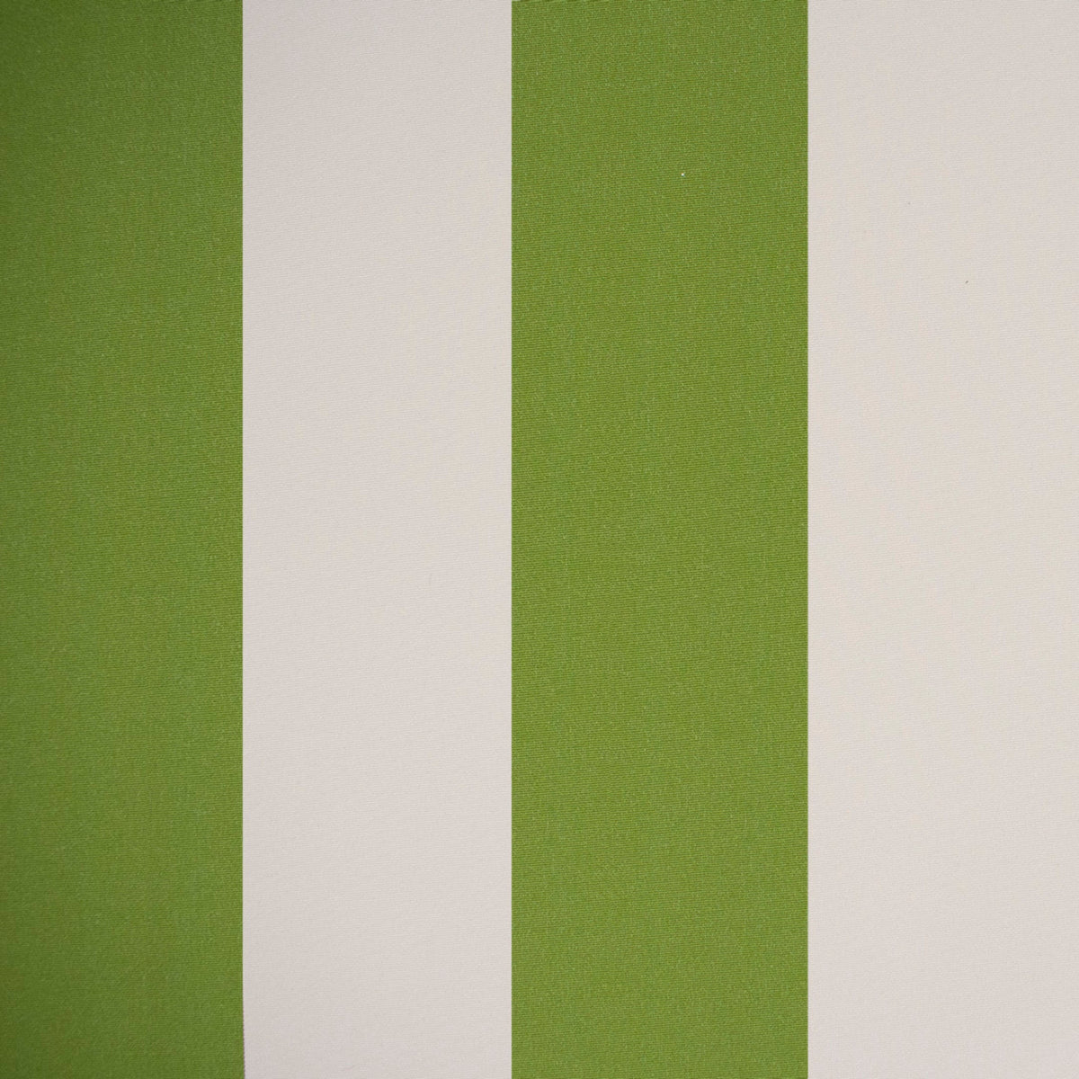 Greenhouse Fabrics fabric displayed for sophisticated decor ideas.