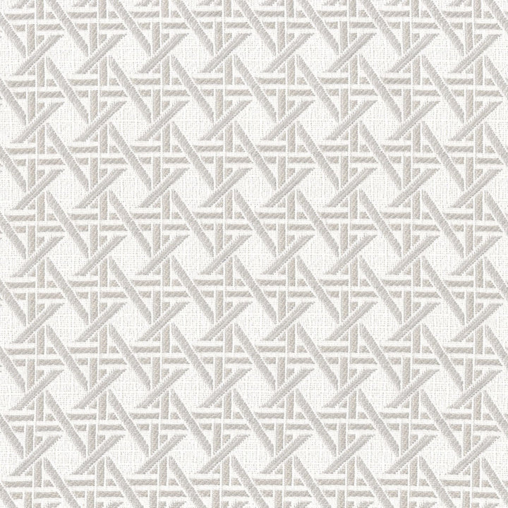F4582 Cement upholstery fabric crafted for elegant home decor.