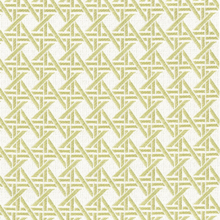 Premium Greenhouse Fabrics fabric, suitable for a variety of interior projects.
