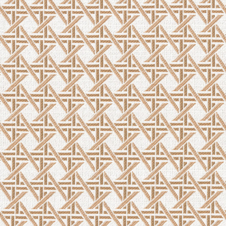 Greenhouse Fabrics F4620 Canyon upholstery fabric in Canyon color, ideal for interior decor and furniture upholstery projects.