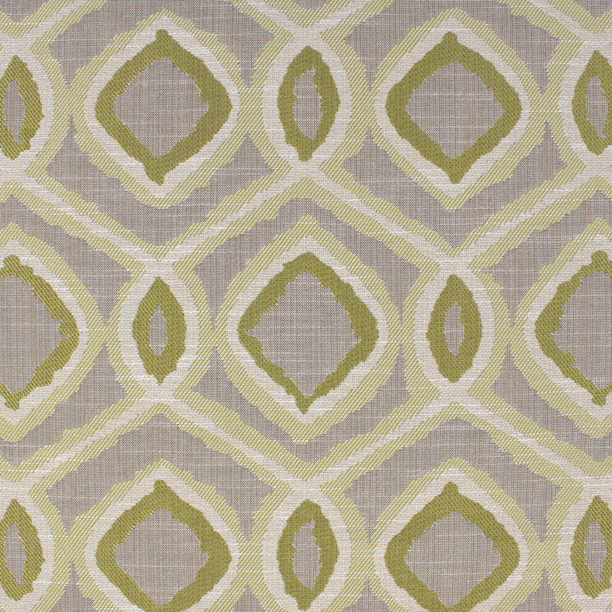 Detailed texture of Greenhouse Fabrics fabric for premium interior decor.