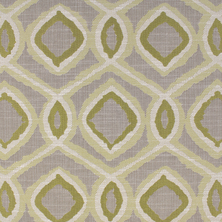 Detailed texture of Greenhouse Fabrics fabric for premium interior decor.