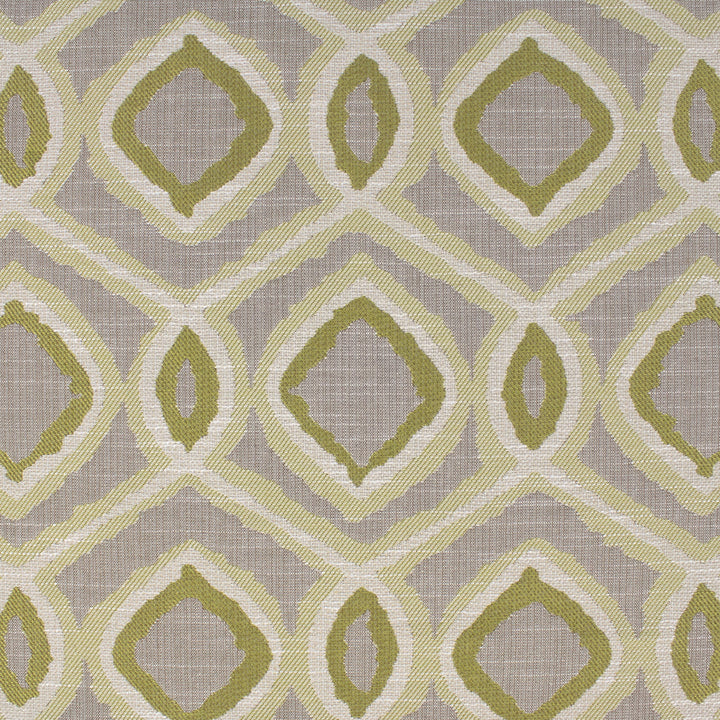 Detailed texture of Greenhouse Fabrics fabric for premium interior decor.