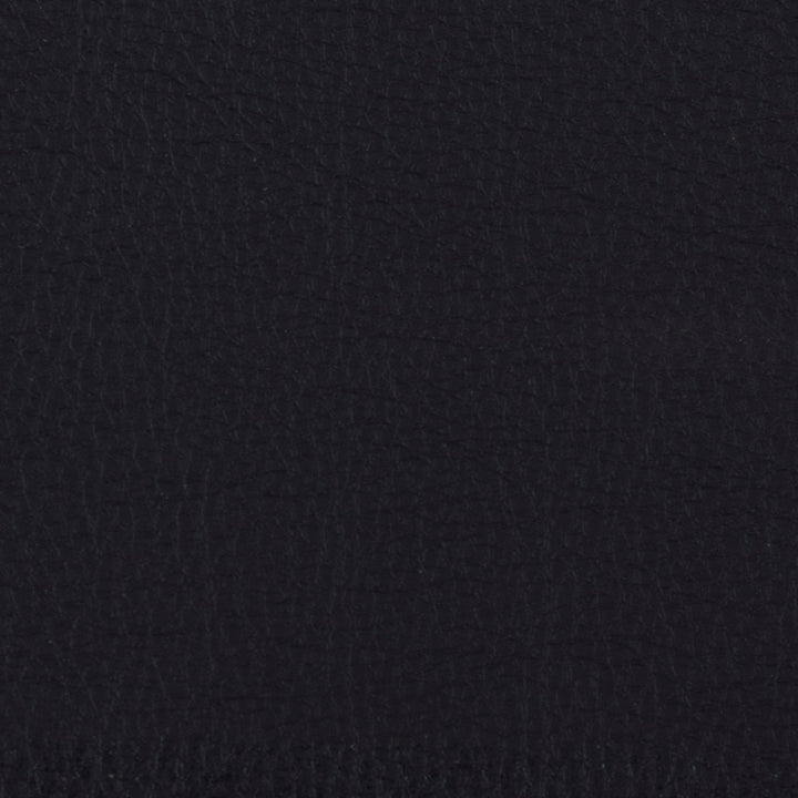 F4917 Black in Greenhouse Fabrics F4917 Black by Greenhouse Fabrics – high-quality, durable upholstery fabric ideal for sofas, chairs, and home decor projects. Adds style and resilience to any interior setting.