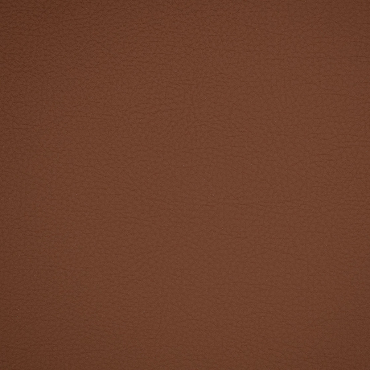 Greenhouse Fabrics F4934 Equestrian upholstery fabric in Equestrian color, ideal for interior decor and furniture upholstery projects.