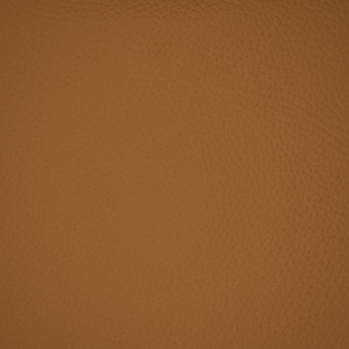 Greenhouse Fabrics F4981 Camel upholstery fabric in Camel color, ideal for interior decor and furniture upholstery projects.