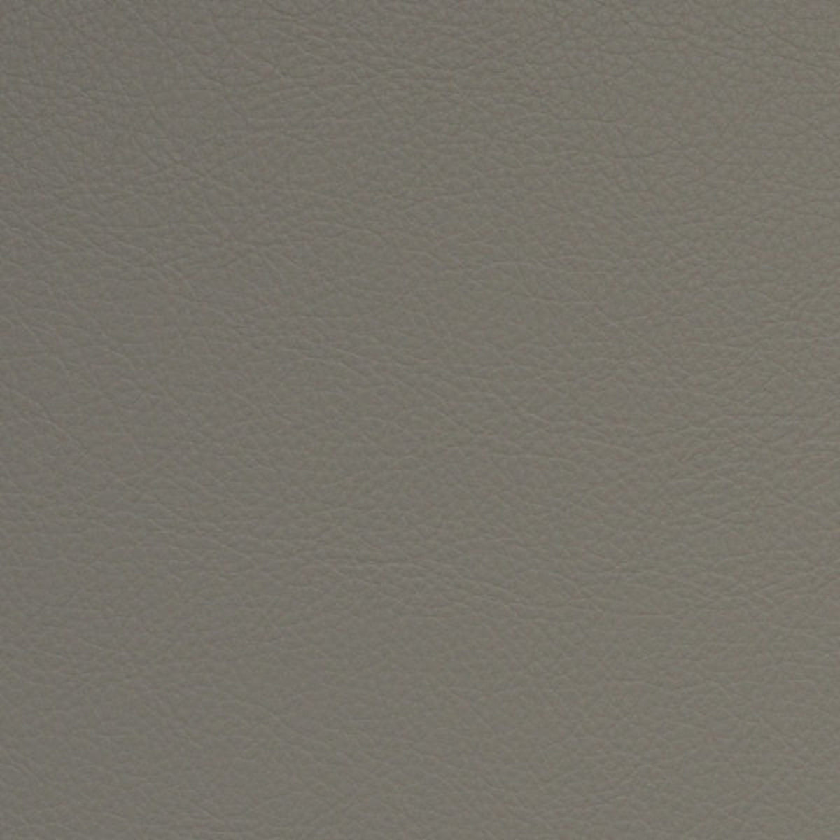 High-quality Greenhouse Fabrics fabric, perfect for custom upholstery and design.