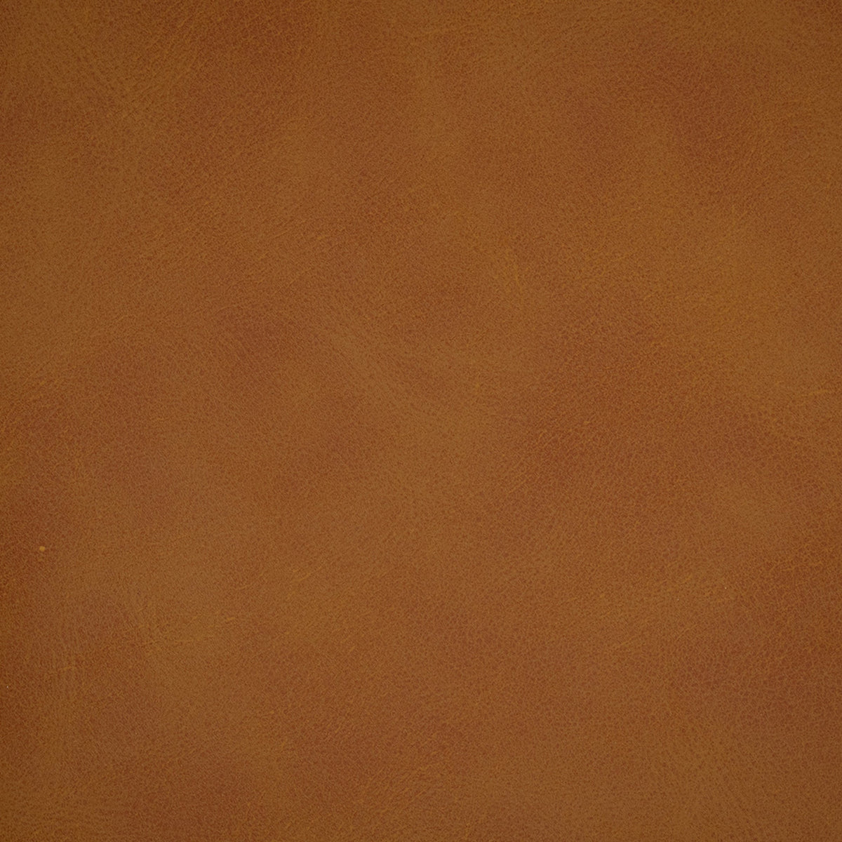 Greenhouse Fabrics F5025 Saddle upholstery fabric in Saddle color, ideal for interior decor and furniture upholstery projects.